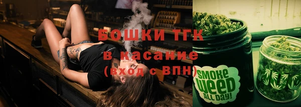 гидра Вяземский