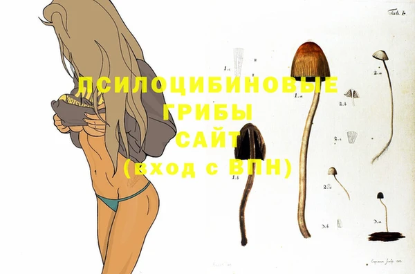 гидра Вяземский