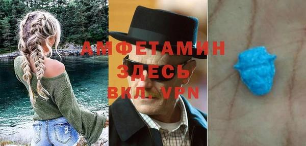 гидра Вяземский