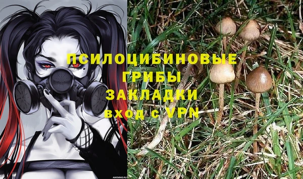 спайс Вязники