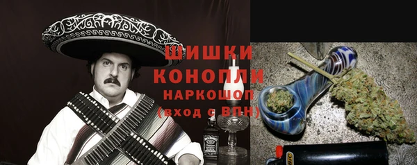 гидра Вяземский