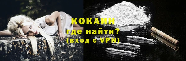 гидра Вяземский