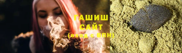 гидра Вяземский