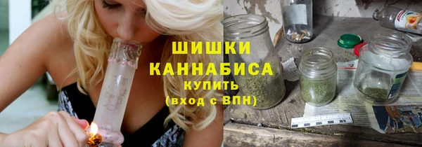 гидра Вяземский