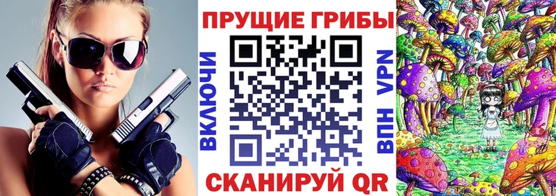 Галлюциногенные грибы мицелий  Москва 