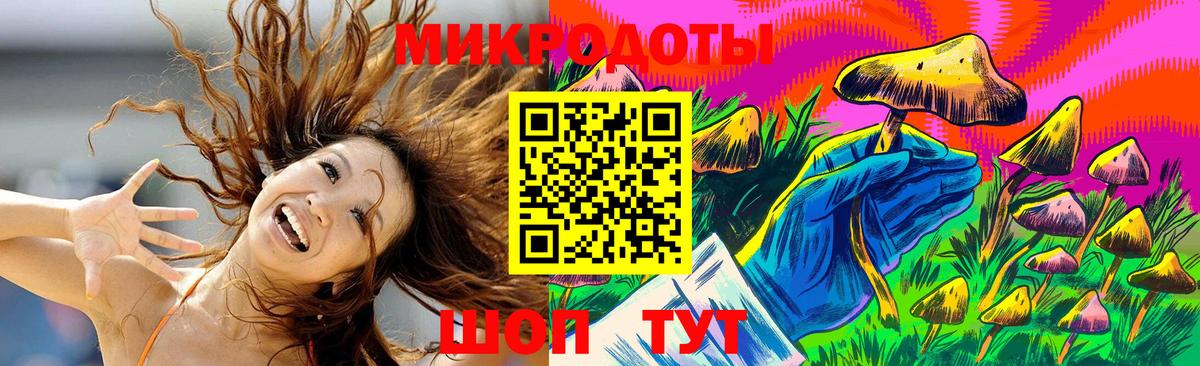 Псилоцибиновые грибы мухоморы  Псилоцибиновые грибы Psilocybe  Москва  Вход с VPN 