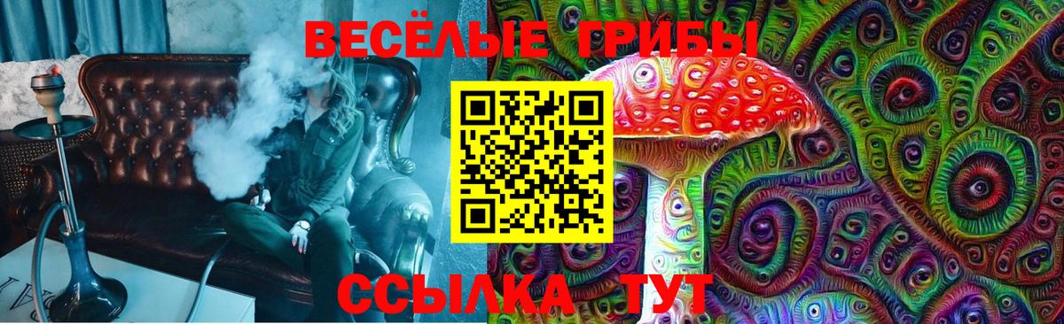 Галлюциногенные грибы прущие грибы Москва